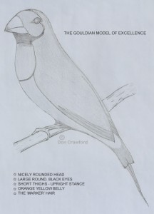 The Gouldian Model of Excellence